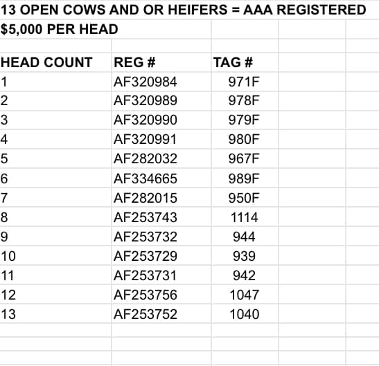 13 Head Akaushi Cows & Heifers